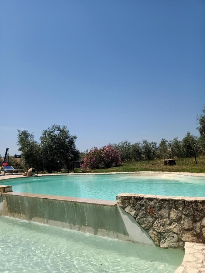 Farm stay La Locandiera *