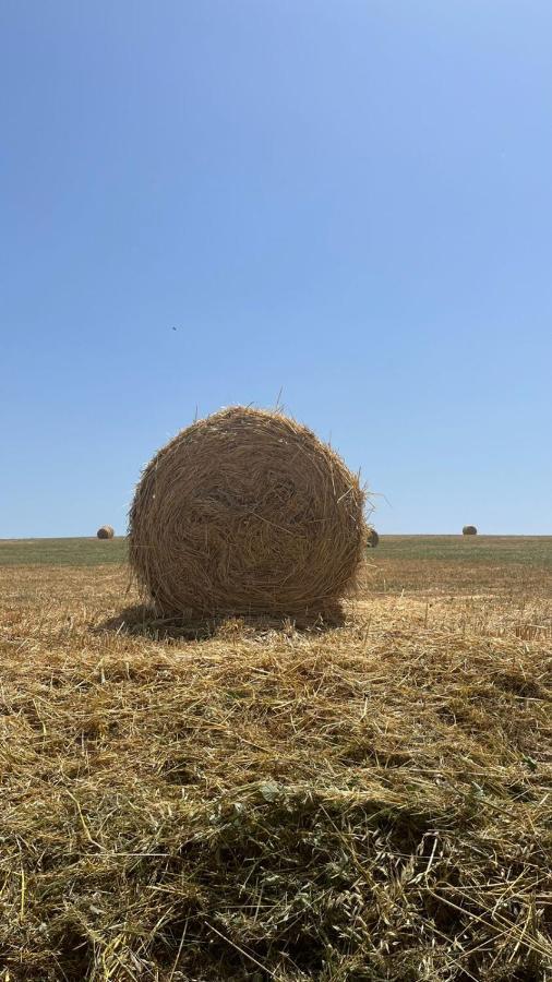 Farm stay La Locandiera *