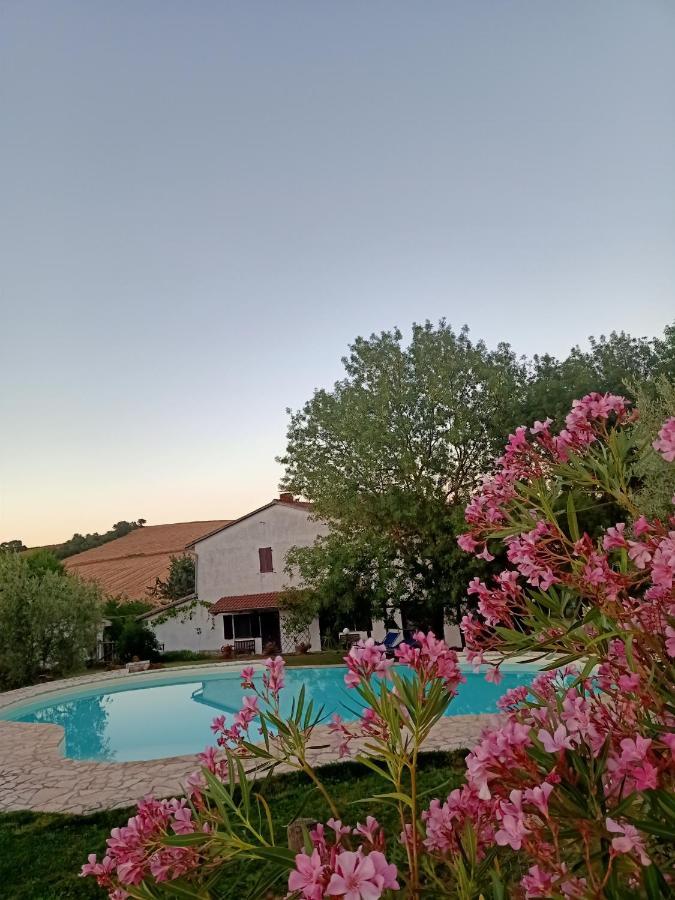 Farm stay La Locandiera *