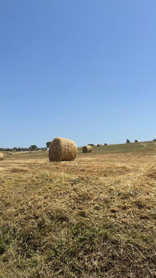 La Locandiera Farm stay Montemerano
