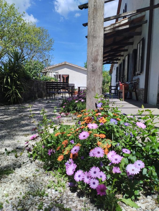 Farm stay La Locandiera