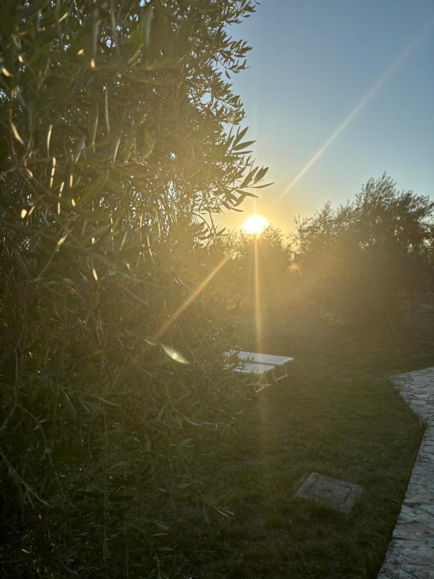 La Locandiera Farm stay Montemerano