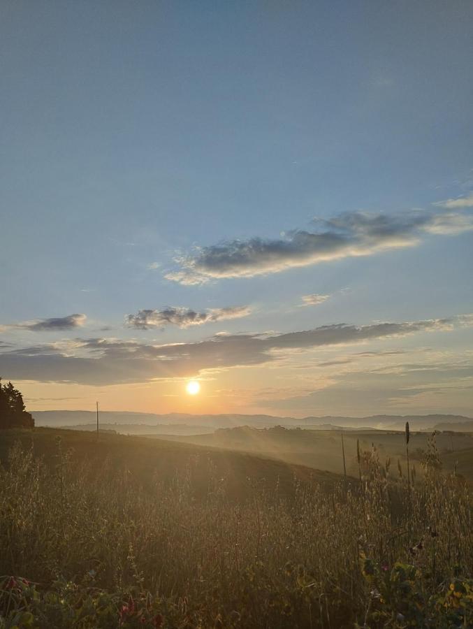 La Locandiera